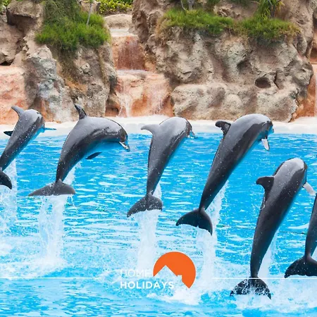 #081 T1 Vale Mangude 312 By Holidays * Albufeira