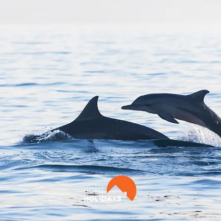 Appartement #081 T1 Vale Mangude 312 By Holidays