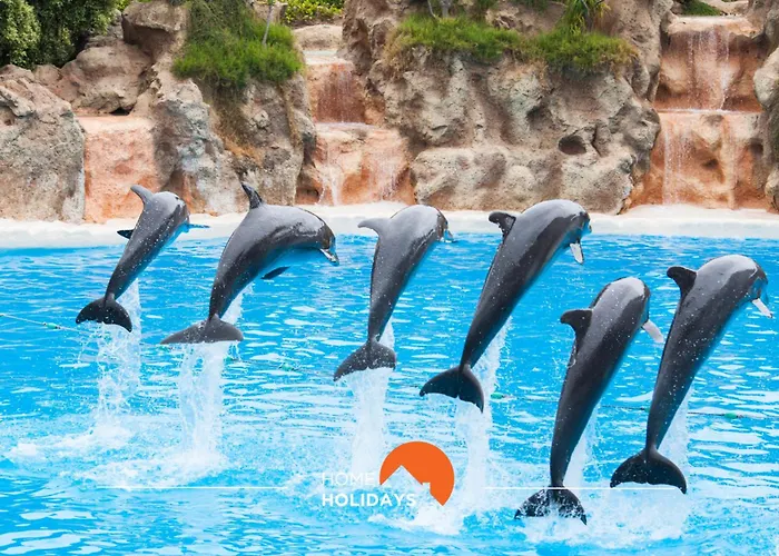 #081 T1 Vale Mangude 312 By Holidays * 알부페이라