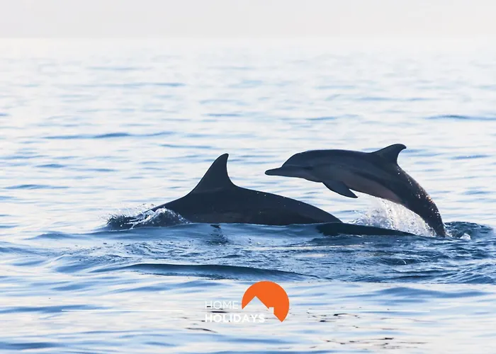 아파트 #081 T1 Vale Mangude 312 By Holidays